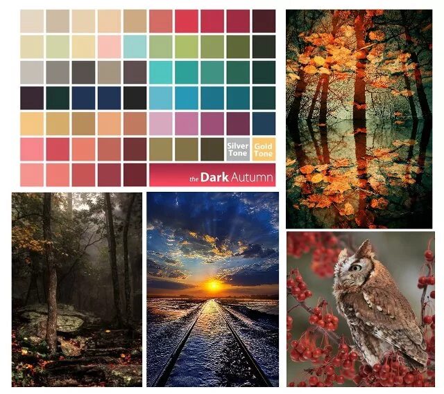 Осенняя палитра. Осенняя атмосфера. Теплая осень и холодная. Палитра теплых цветов. Цветовая гамма цветотипа осень.