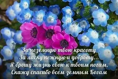 Слушать песню мир к твоим ногам