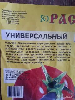 Лучшая земля для рассады помидоров