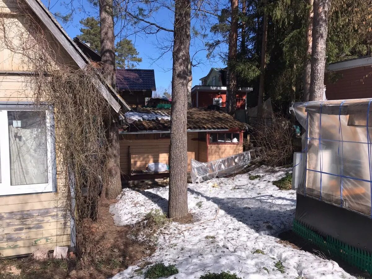 Снт дружный. Дружное 4. Дружное 4. Дом на участке 6 соток. Снт дружный томск.