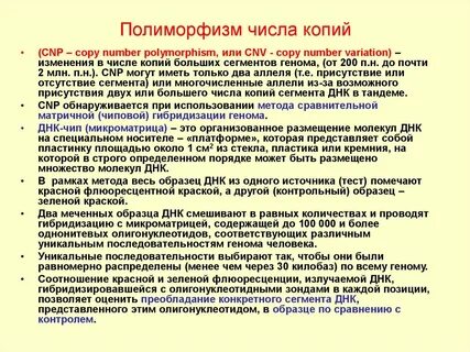 Число копий
