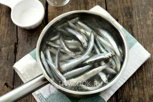 Как засолить хамсу. Как посолить хамсу. Тюлька, хамса, мойва, путассу. Первые рыбы. Засолка хамсы.