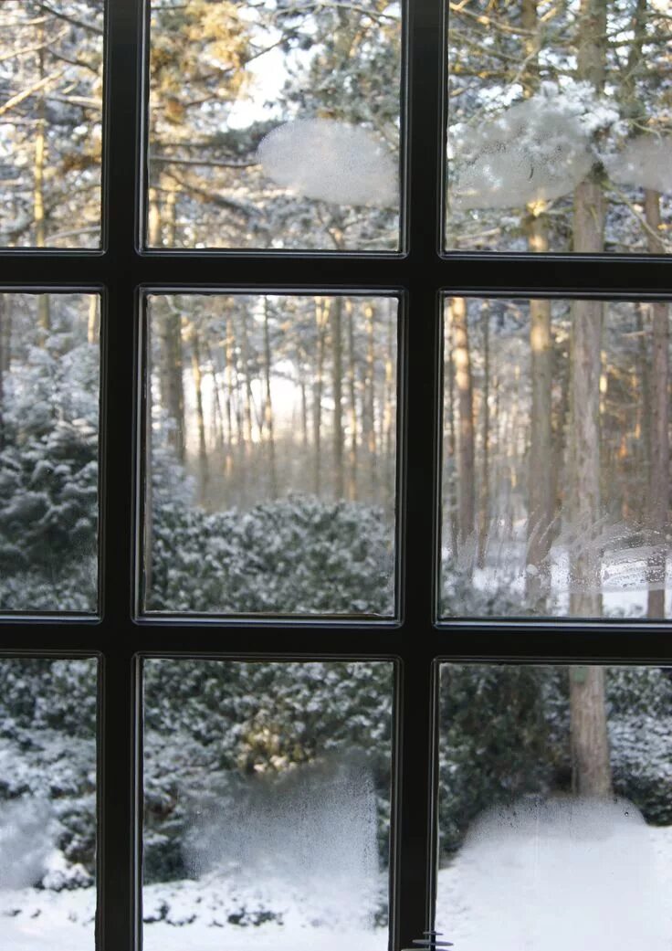 Snow in the window