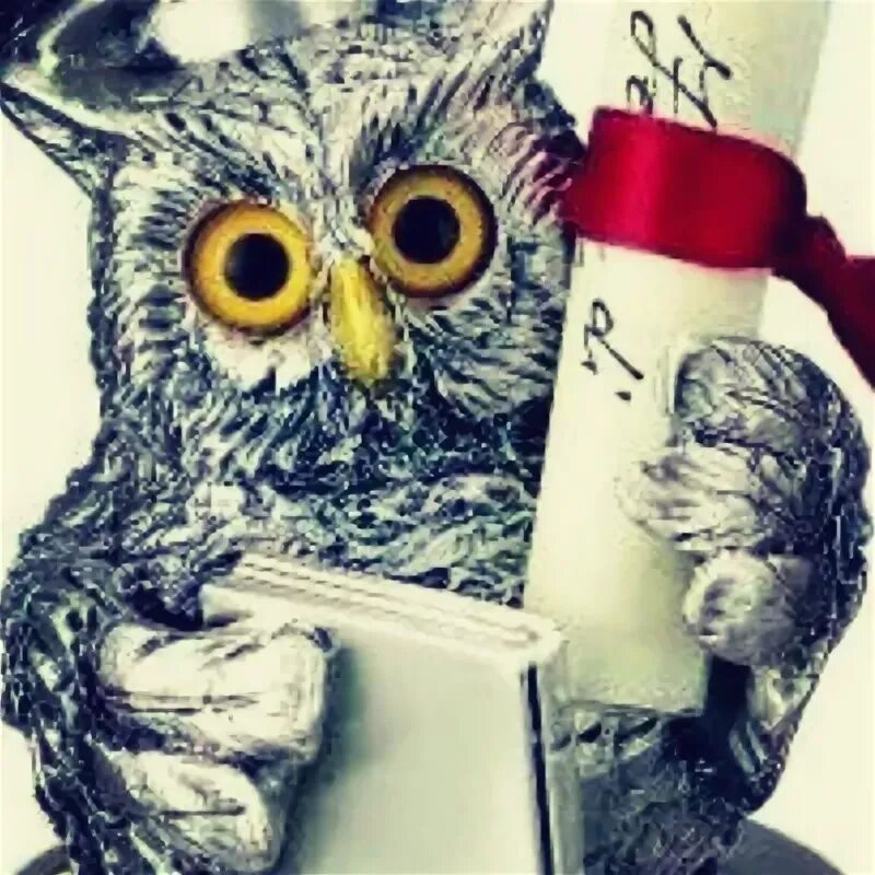 Колледж экономист новосибирск. Костромской торгово-экономический колледж. Бухгалтерия кострома. Ооо ваш бухгалтер. Услуги ведения бухгалтерского учета.