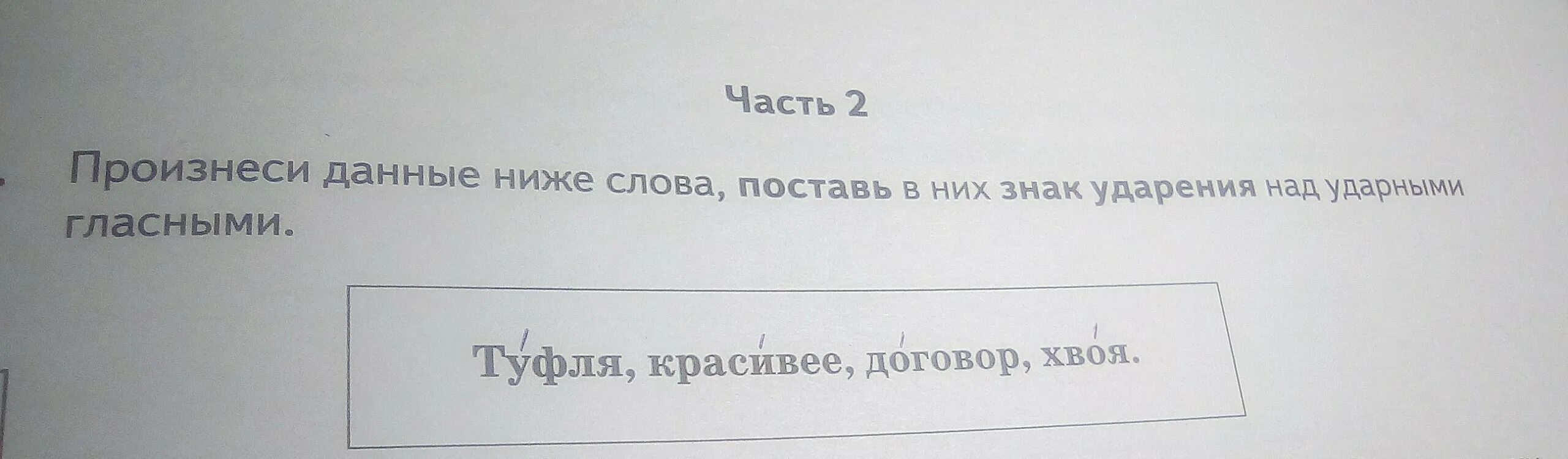 Решу впр ударения. Знак ударения. Туфля красивее договор хвоя ударение. Поставь знак ударения договор. Ударение красивее договор хвоя.