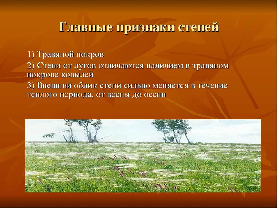 Степь природная зона. Главный признак степи. Признаки зоны степей. Природные условия степи. Какие природные комплексы отличаются от степи