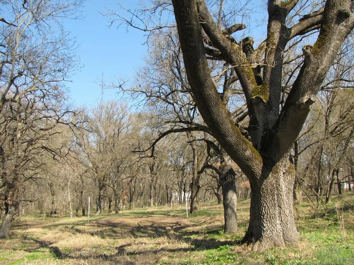 Усадьбе Саблы. Село Саблы Крым. Каштановое Симферопольский район. Усадьба Саблы Крым. Село каштановое