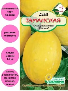 Дыня сибирячка