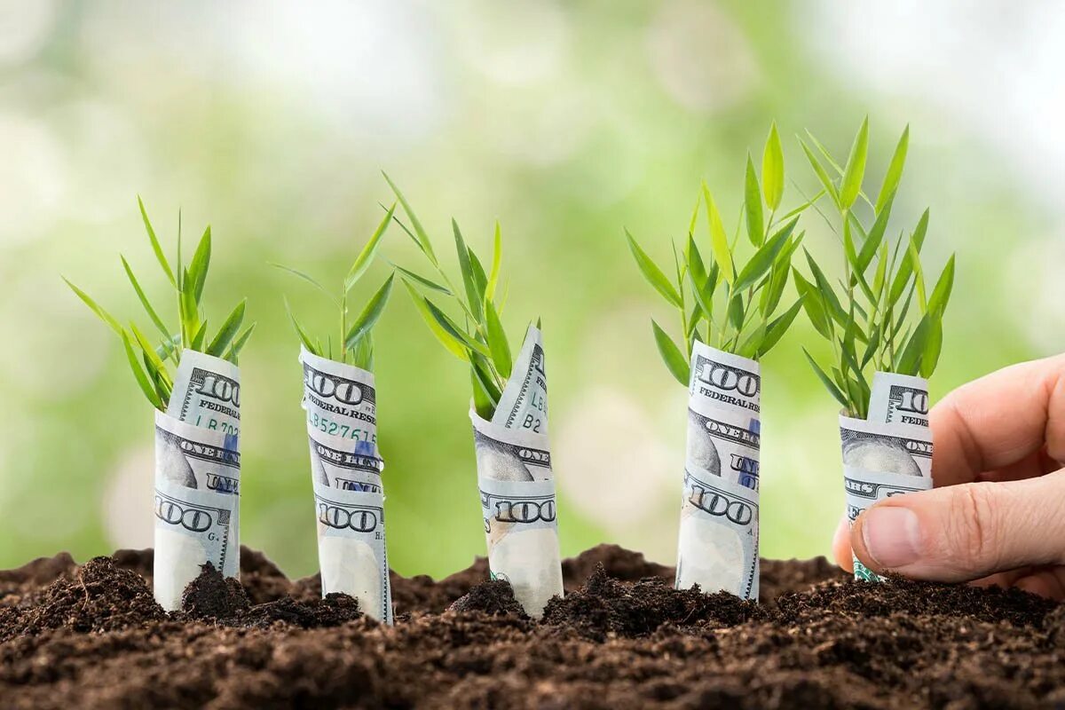 Инвестирование в землю. Вложу деньги в землю. Инвестиции в землю. Инвестиции. Выгодные вложения в землю.