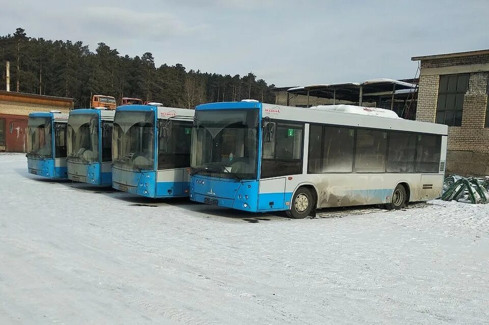 чита лиаз. 102 автобус чита. забайкальский край лиаз 4292. читинский автобус. общественный транспорт читы.