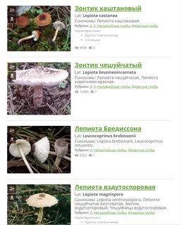 Как распознать съедобные