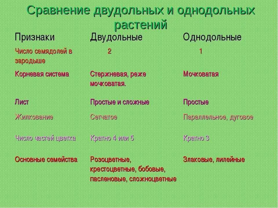 К двудольным относятся следующие