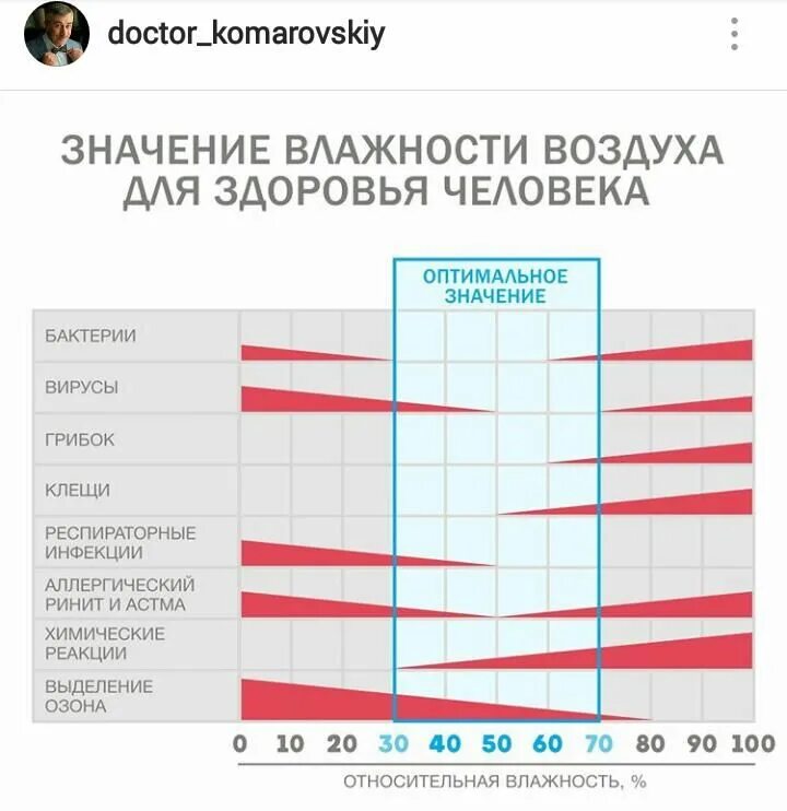 Как влажность влияет на микроорганизмы. Влажность микроорганизмы. Виды микробиологической порчи пищевых. Влияние влажности на микроорганизмы. Как влияет влажность на жизнедеятельность микроорганизмов.