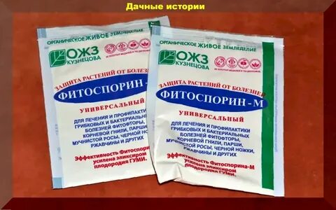 Сколько можно хранить разведенный фитоспорин