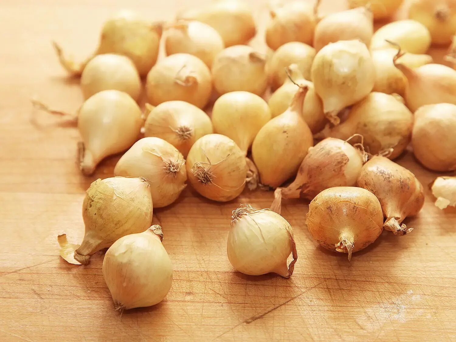 Лук репчатый 2 головки. Лук чеснок. Лук-севок золотистый семко f1. Лук репчатый разрезанный. Лук репчатый 2 головки.