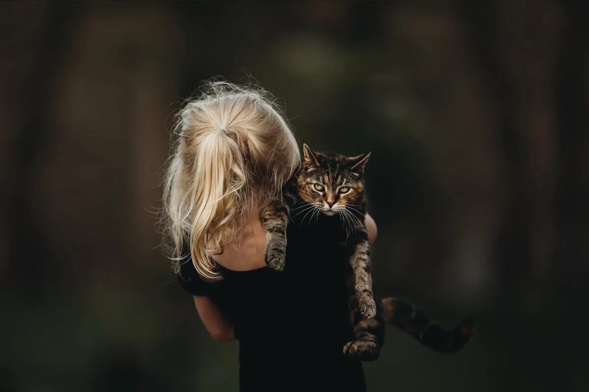 Это одиночество. Девушка кошка. Девушка кот спиной. Девушка у окна. Рыжеволосая девушка арт.