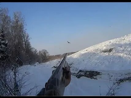 Отстрел города