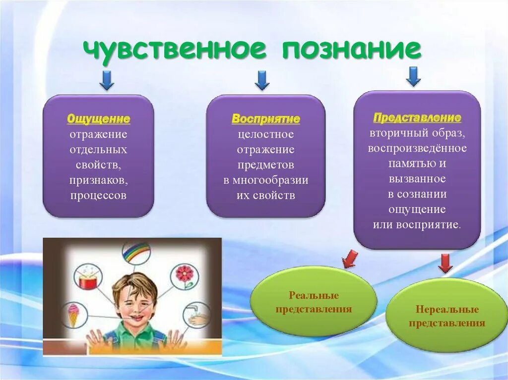 Проект процесс познания. Чувственное познание. Проект на тему процесс познания. Процесс познания Обществознание.