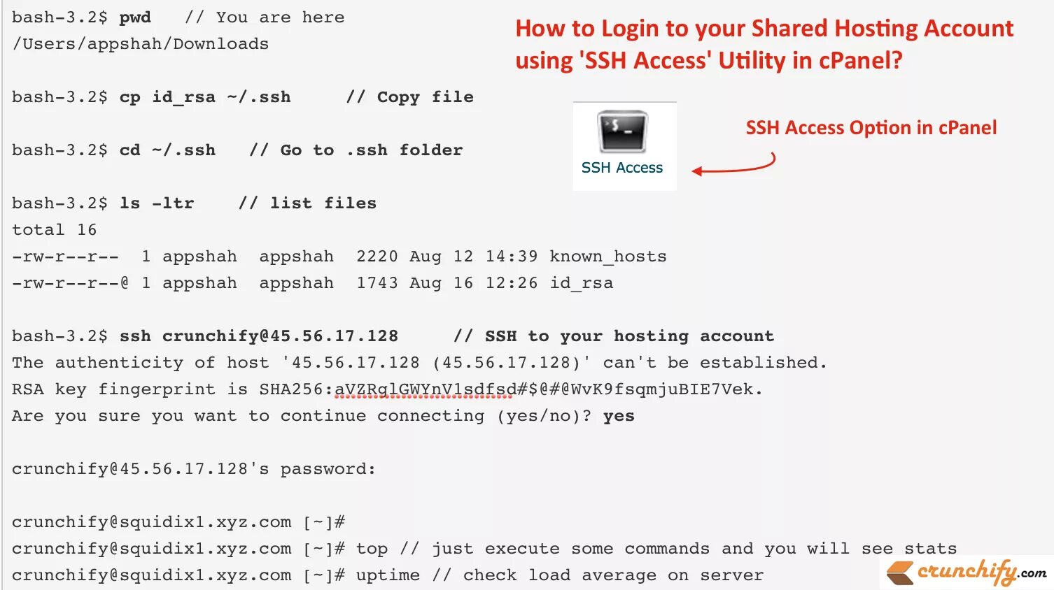 The authenticity of host. Вход ssh. ssh hosts catalog. the authenticity of host can be established.