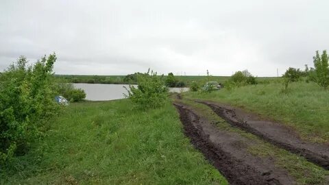 Прилепы