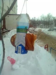 Кормушки мем