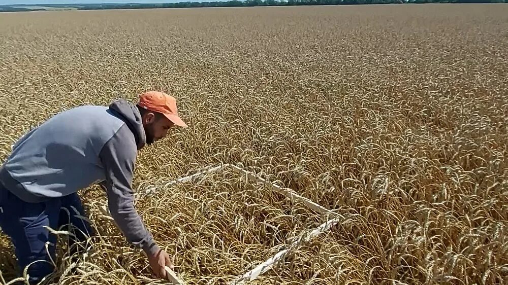 Удобрения для агрокомплексов. Мотобол комета кущевская. Мотоболисты комета кущевский. Краснодар агрокомплекс выселковский. Двв агро кущевская.