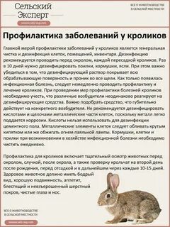 Крольчиха окрол чем кормить
