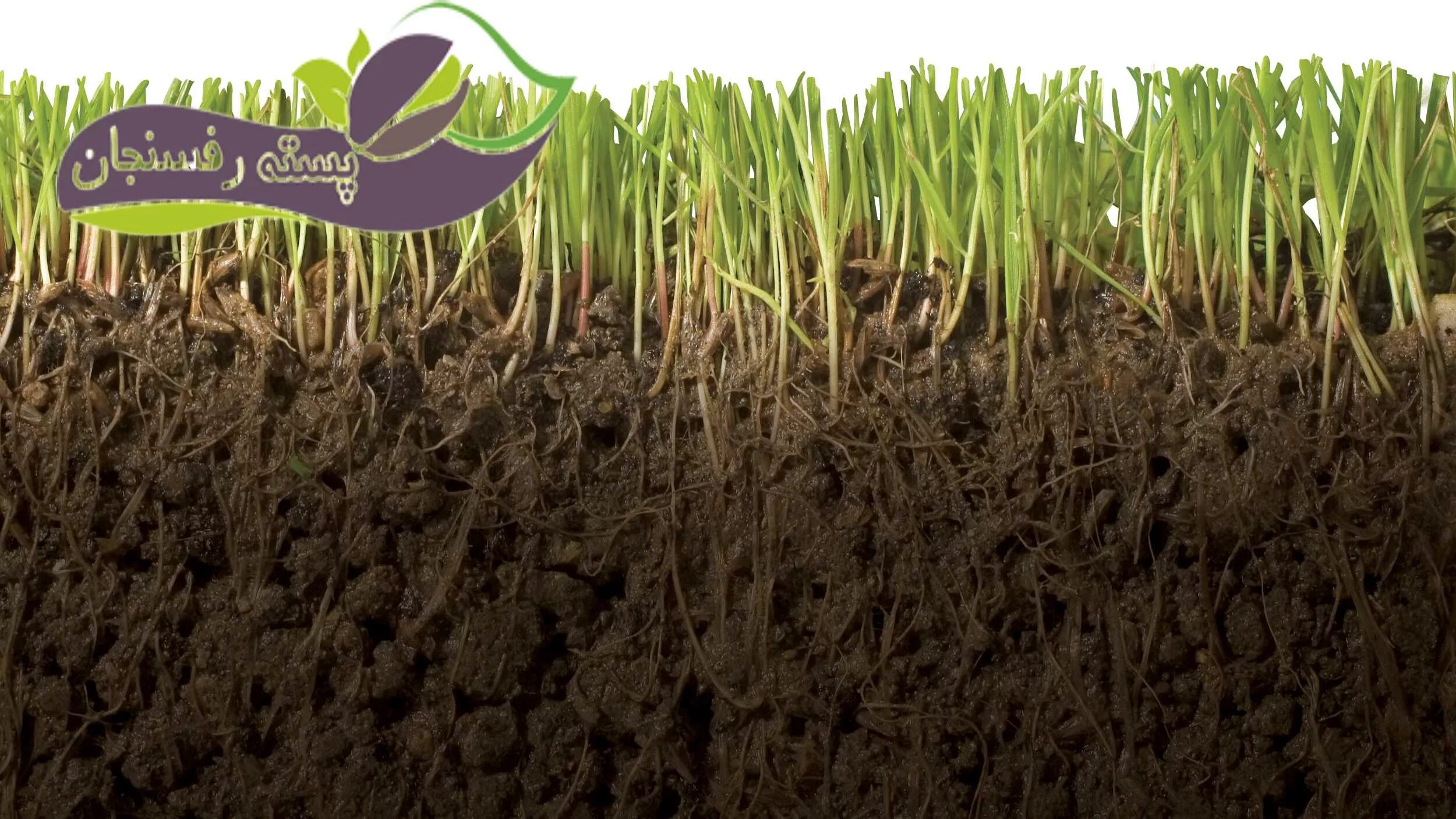 Почва. Земля гумус. Плодородность почвы почвоведение. Растительный грунт (торфо-песчаная смесь). Земля почва.