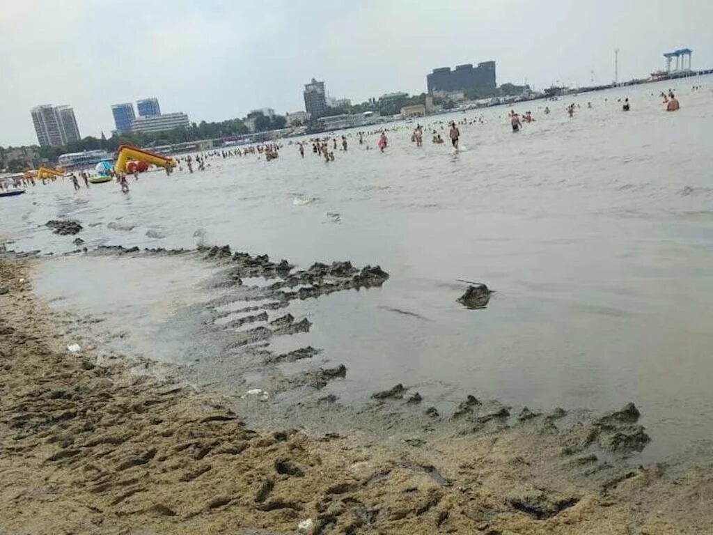 Витязево море цветет. В Анапе зацвело море. Цветение моря в Витязево в августе. Анапа море цветет 2021. В анапе есть вода