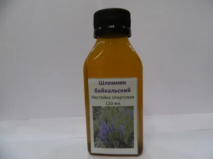 Настойка шлемника байкальского