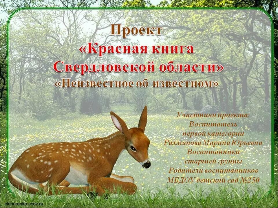 Исследовательская работа растительный и животный мир. Животные красной книги владимирской области. редкие животные владимирской области. охраняемые животные владимирской области. лесные животные презентация.
