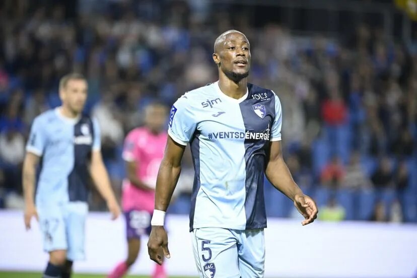 Гавр прогноз. Гавр страсбург логотип. Гавр франция. Гавр. Ница гавр.