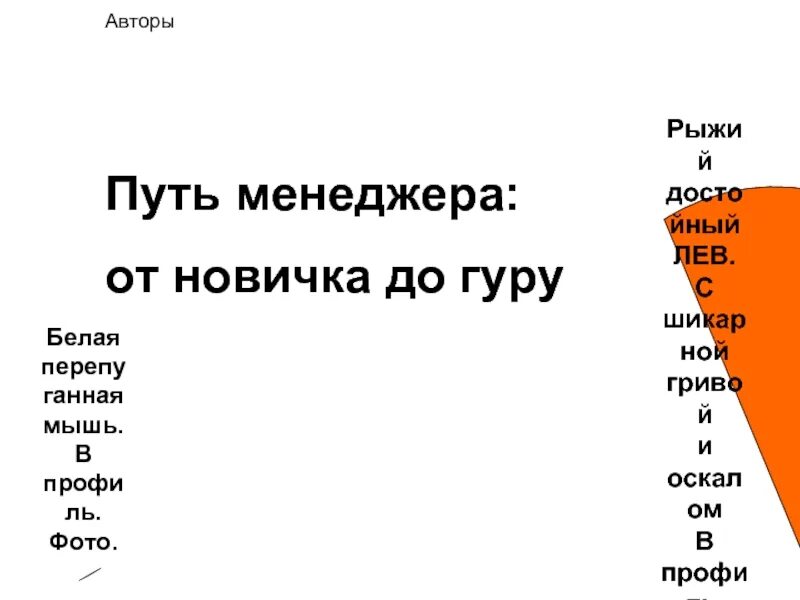 Путь менеджера. Управление проектной средой и it-проектами. Сообщество менеджеров e-xecutive. Путь менеджера. Менеджмент пути.