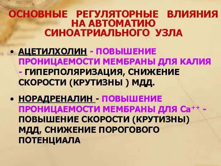 Ацетилхолин влияние на деятельность сердца. Ацетилхолин гуморальная регуляция. Узлы автоматии Сино атриальный. Ацетилхолин на синоатриальный узел. Ацетилхолин сердце сокращение