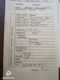 Анализ мочи лейкоциты