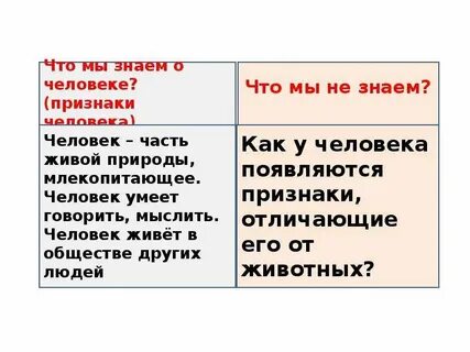 Кого можно назвать первым