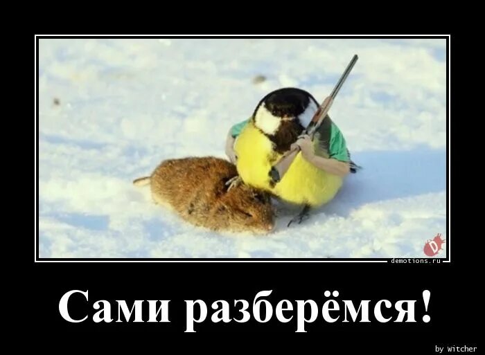 Не могу разобраться сама в себе