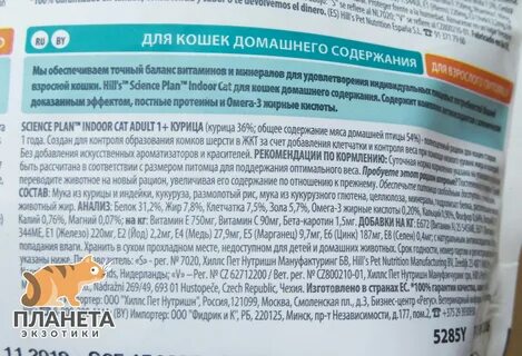 Айо для кошек состав