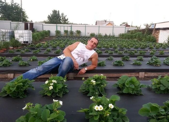 Посадить что нибудь
