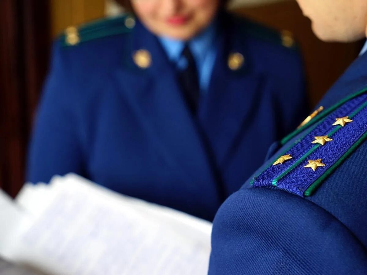 Трошкина наталья николаевна прокуратура. Найти прокуратуру. Найти прокуратуру. Транспортный прокурор. Прокуратура обои.