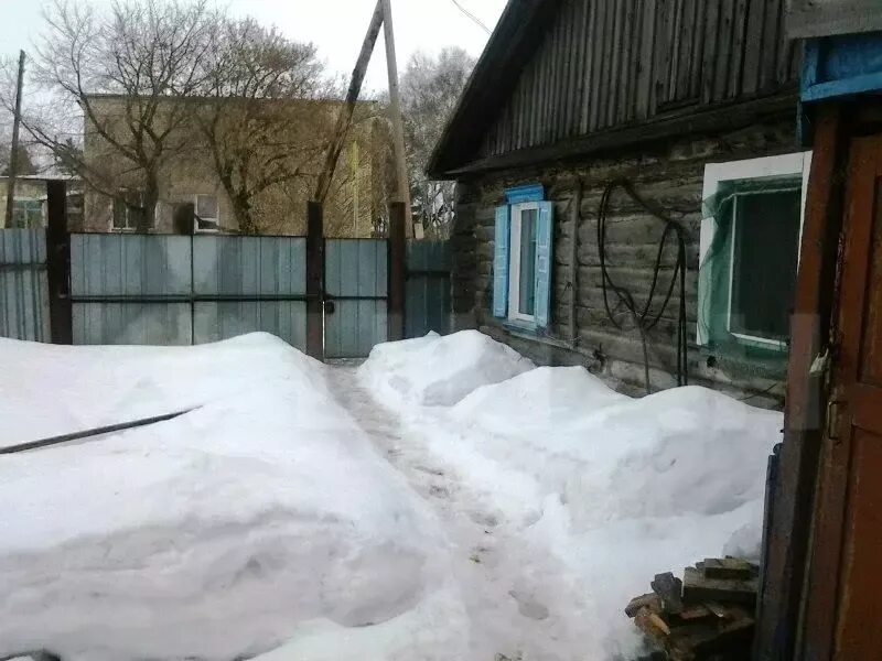 Погода на майке курганская область. Село майка курганская область.