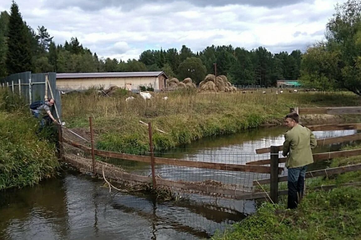 Река сетка. Укрепление берега пруда габионами. Габионы берег реки. Завод в далеке. Река сетка.