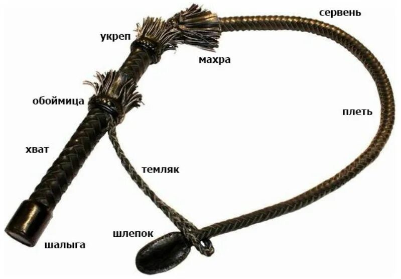 Нагайка кубанская казачья. Нагайка кубанская и донская. Слова для составления слов. Слова из слова. Многохвостую кошку-плеть.