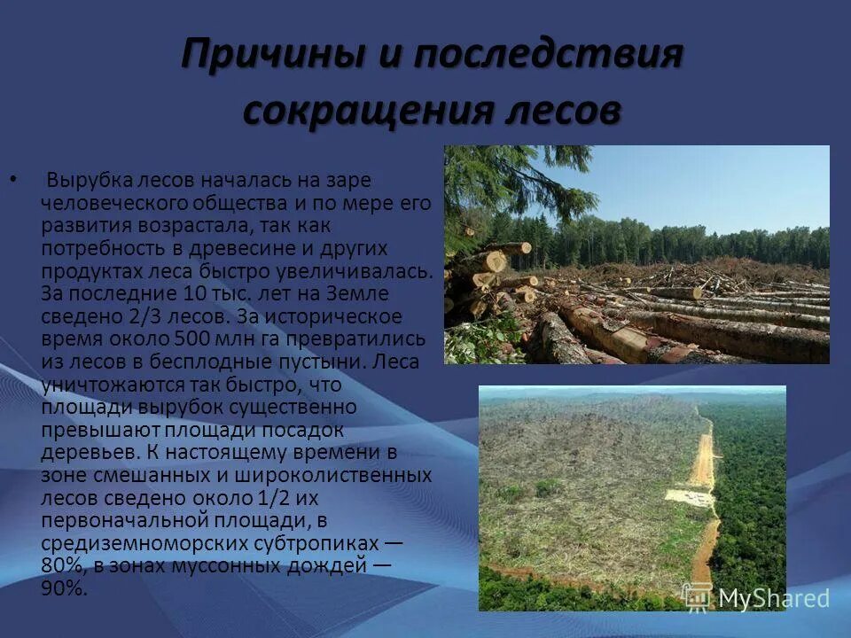 Назовите последствия вырубки лесов. Назовите последствия вырубки лесов. Назовите последствия вырубки лесов. Вырубка лесов причины. Вырубка лесов.