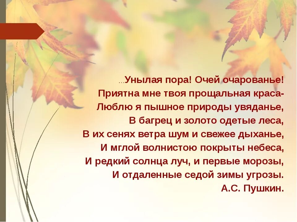 Пушкин очей очарованье стихотворение. Стихотворение Пушкина осень унылая пора очей очарованье. Стихотворение Пушкина унылая пора. Унылая пора очей очарованье стихотворение Пушкина текст.