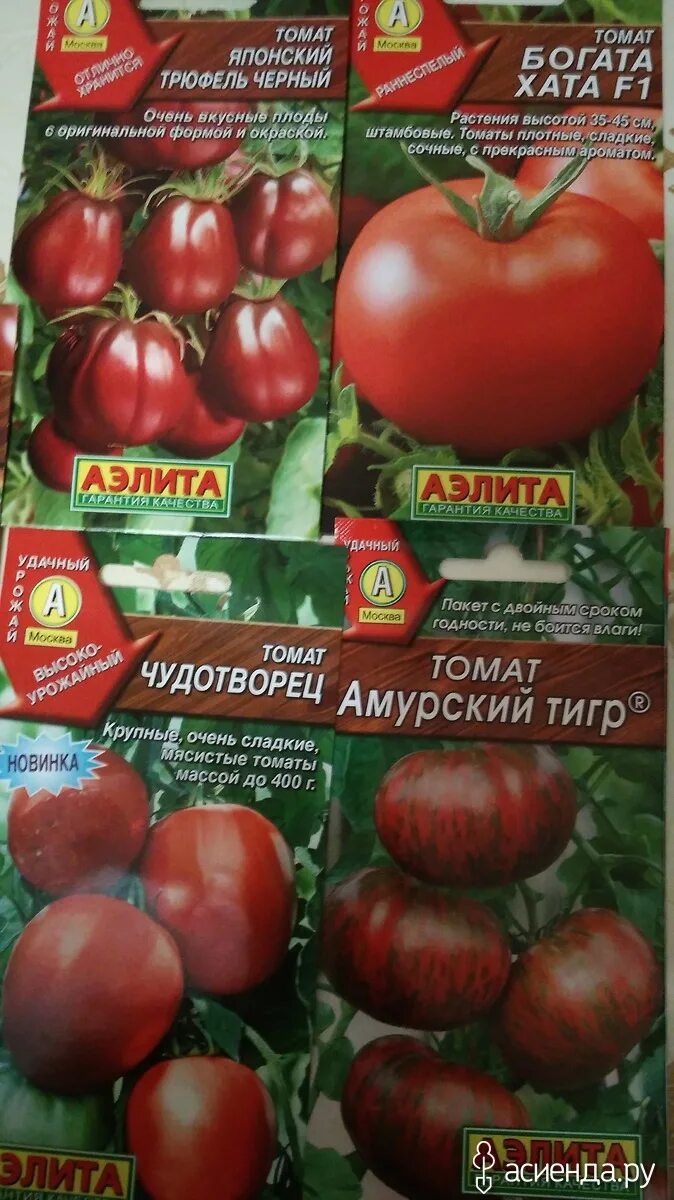 Сорт томата чудотворец. Томат сорт чудотворец. помидоры чудотворец описание. томат чудотворец характеристика и описание. чудотворец томат описание.