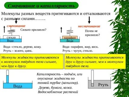 Смачивание это в физике 8 класс
