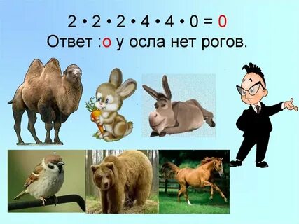 Ослик 2 петух 8