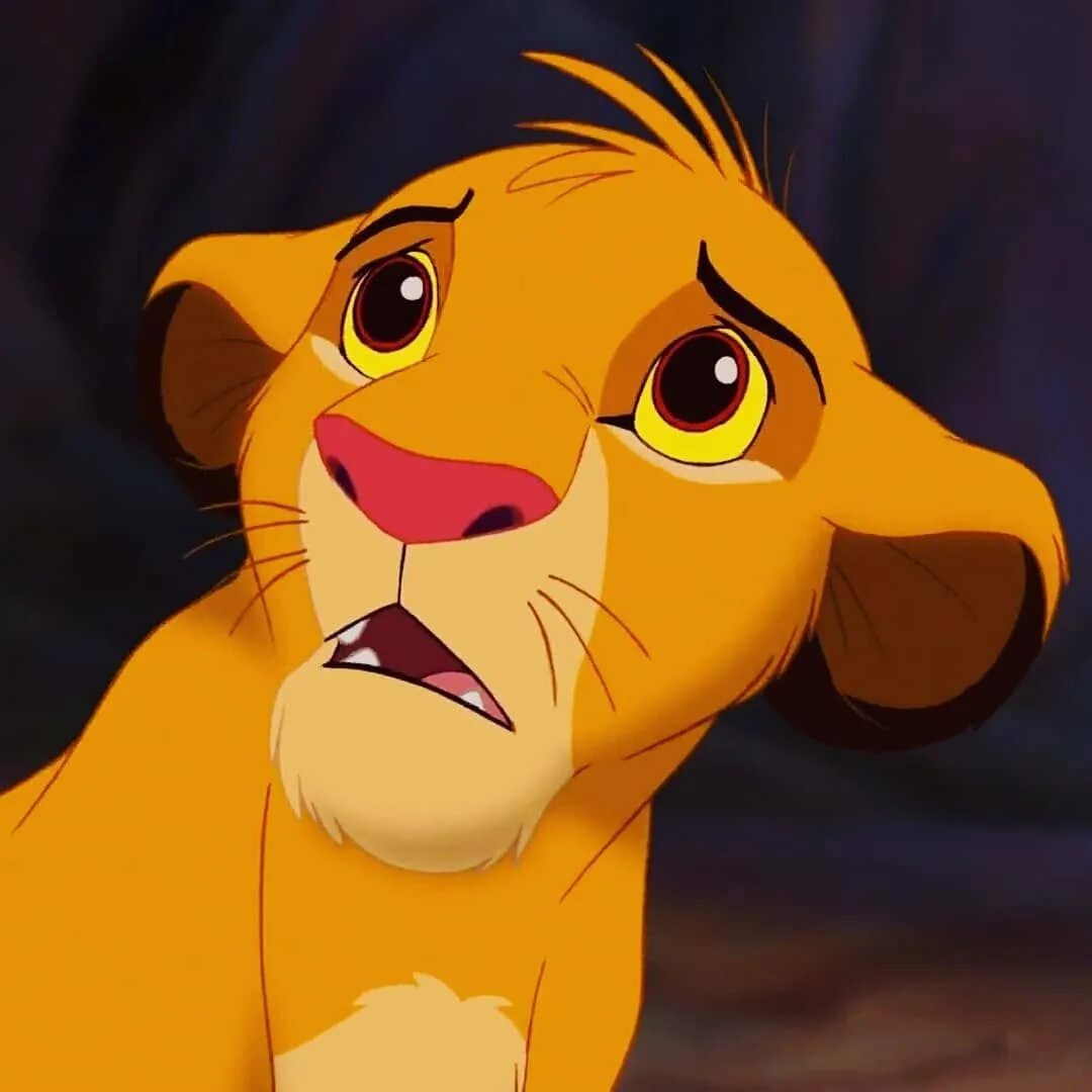 Симба аватарка. Симба лев. simba king. король лев симба маленький. король лев львенок симба 1994.