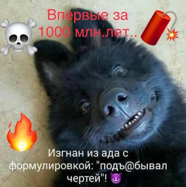 Его выгнали но он раскрыл бесконечные статы. Выгнали из ада. изгнан из ада с формулировкой под@бывал. выгнан из ада с формулировкой.